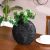 Lori Vase Black-YH2213