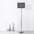 Aw21 Buda Metal Floor Lamp Chrome+Leaf 34×H139.5Cm