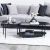 Gibbon Coffee Table Set - Black