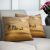 Dreamz Cushion 43X43Cm Multi Sand Dunes- Filled Cushion