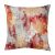 Dreamz Cushion 43X43Cm Multi Dd 4 Filled Cushion