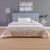 Fallacy 4-Piece King Plush Comforter Set-228x254cm-Beige