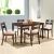 Bahamas Wooden 1+4 Dining Set - Espresso