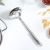 Zonda S/Steel Soup Ladle