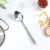 Zonda S/Steel Ladle
